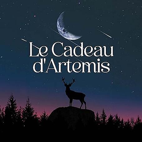 Cover image for Le Cadeau d'Artemis