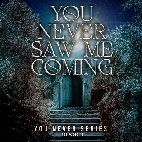 You Never Series Book 3: You Never Saw Me Coming