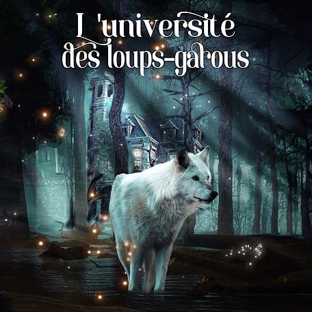 Cover image for L'université des loups-garous