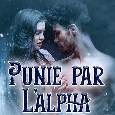 Cover image for Punie par l'alpha