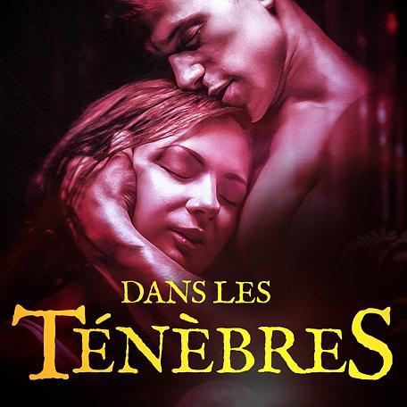 Cover of Dans les ténèbres