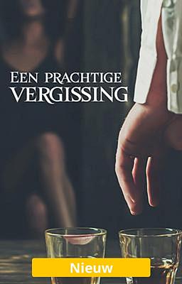 Cover image for Een prachtige vergissing