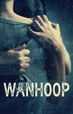 Cover image for Wanhoop