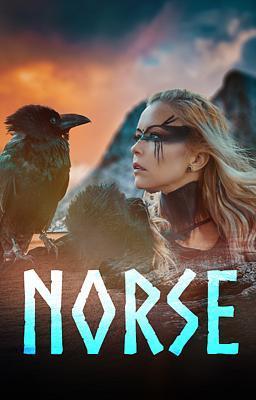 Cover image for NORSE