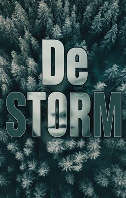 Cover image for De storm