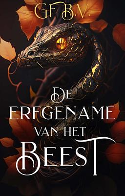 Cover image for Goede Fee B.V.