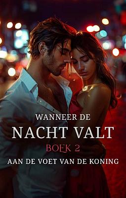 Cover image for Wanneer de nacht valt: aan de voet van de koning