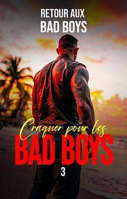 Retour aux Bad Boys