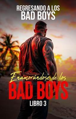 Cover image for Regresando a los Bad Boys