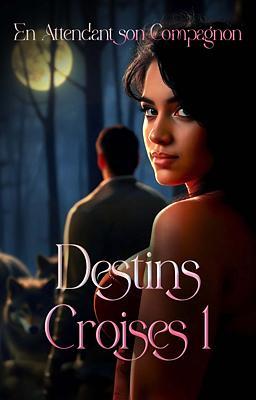 Destins Croisés 1 : En Attendant son Compagnon