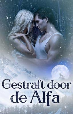 Cover image for Punished by the Alpha (Nederlands)