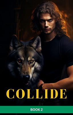 Cover image for Collide Book 2
