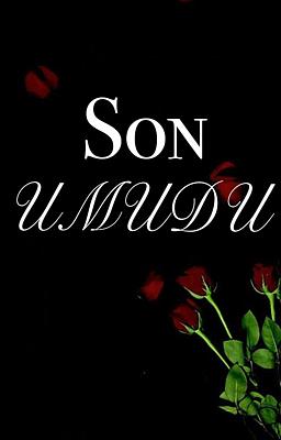 Cover image for Son Umudu