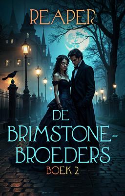 Cover image for De Brimstonebroeders boek 2: Reaper