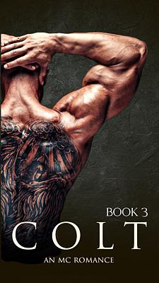 Cover image for Colt Book 3