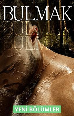 Cover image for Bulmak