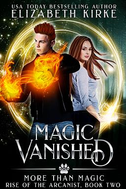 More than Magic Book 5: Magic Vanished