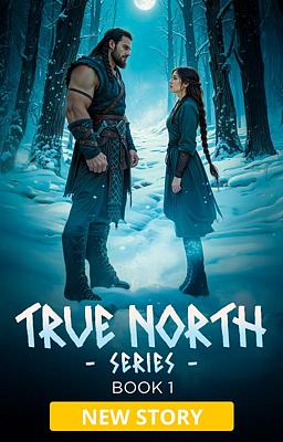 Cover image for True North Series Book 1: True North
