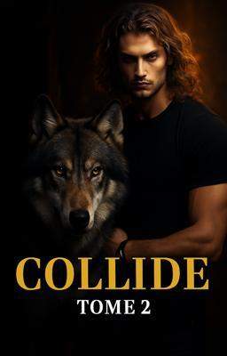 Collide – Livre 2