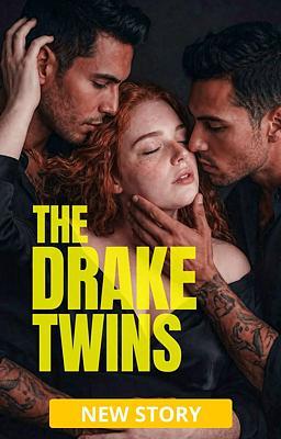 Cover image for The Drake Twins