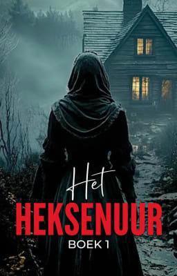 Cover image for Het heksenuur