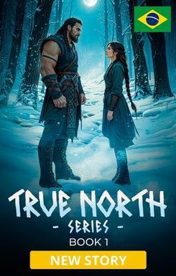 Cover image for Série True North Livro 1: True North