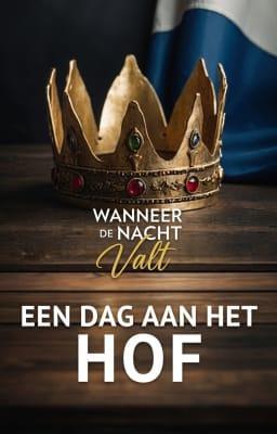 Cover image for Wanneer de nacht valt: een dag aan het hof