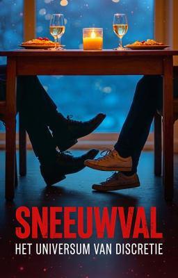 Cover image for Het Universum van Discretie: Sneeuwval