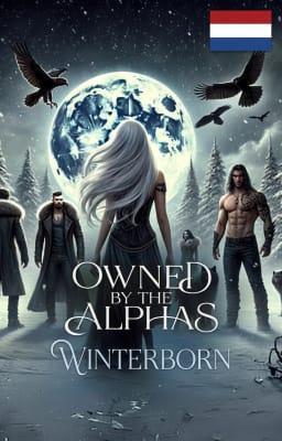 Cover image for Het bezit van de alfa's: Wintergeboren