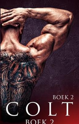 Cover image for Colt Boek 2