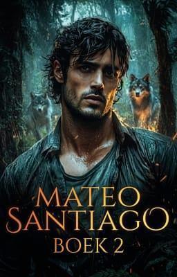 Cover image for Mateo Santiago Boek 2