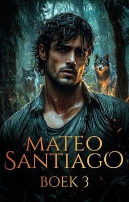 Cover image for Mateo Santiago Boek 3