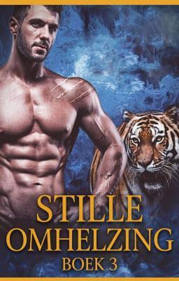 Cover image for Stille omhelzing Boek 3