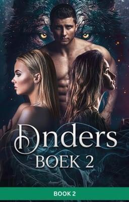 Cover image for Anders Boek 2