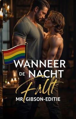 Cover image for Wanneer de nacht valt: Mr. Gibson-editie
