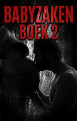 Cover image for Babyzaken Boek 2