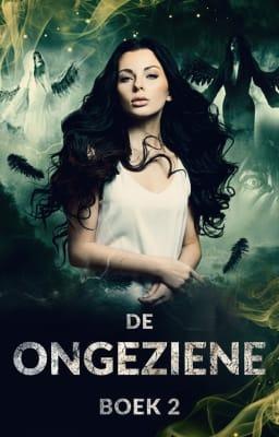 Cover image for De Ongeziene Serie Boek 2