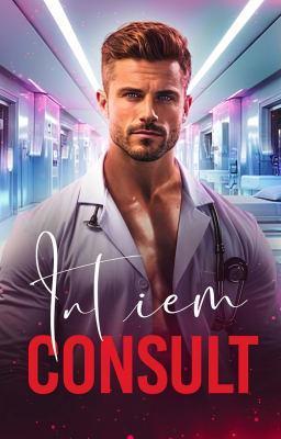 Cover image for Intiem Consult