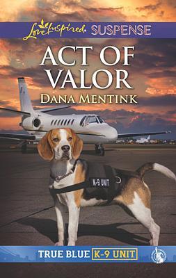 Cover image for Act of Valor