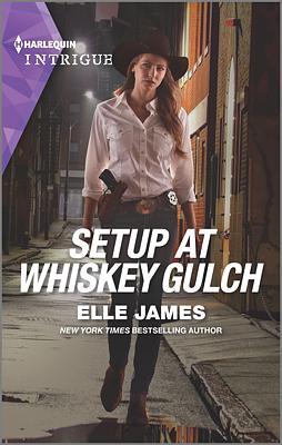 Cover of Setup at Whiskey Gulch