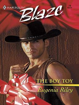 Cover of The Boy Toy