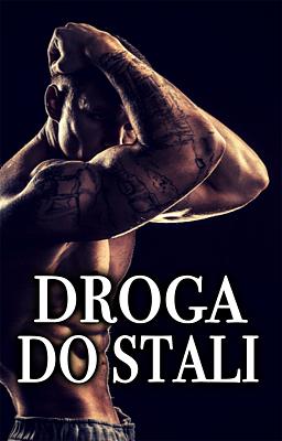 Cover image for Droga do stali