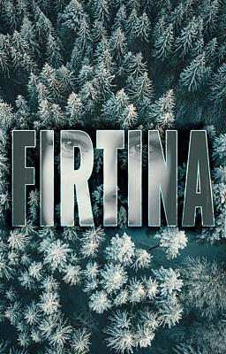 Cover image for Fırtına
