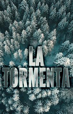 Cover image for La tormenta