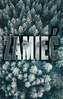 Cover of Zamieć