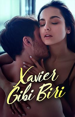 Cover image for Xavier Gibi Biri
