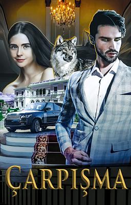 Cover image for Çarpışma