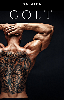 Cover of Colt (Deutsch)