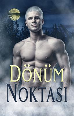 Cover image for Dönüm Noktası