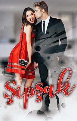 Cover image for Şipşak
